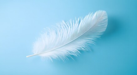 Obraz premium A single floating white feather floats in the air against a light blue background, highlighting the softness of the feather. Representing a feeling of calm and tranquility. It looks very beautiful.