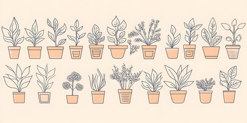 Collection of Potted Plants in Terracotta Pots