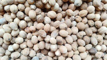 Bunch, group, heap or pile of organic and fresh cracked dry brown myristica or nutmeg seeds. Aromatic ayurvedic medicine spice ingredient agriculture concept. Beautiful 4k extreme closeup view.
