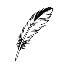 Obraz premium black feather silhouette design illustration