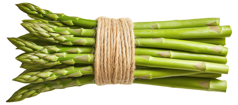PNG Bundle of fresh green asparagus tied with string