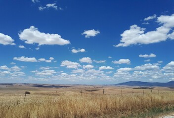 Obraz premium field and sky