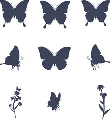 collection of butterflies