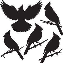 birds on a branch