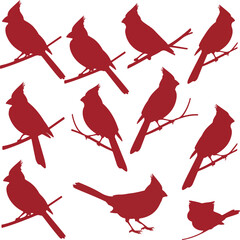 seamless background with birds