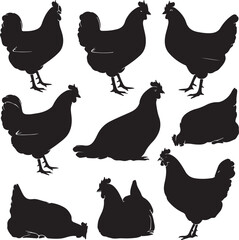set of chicken
