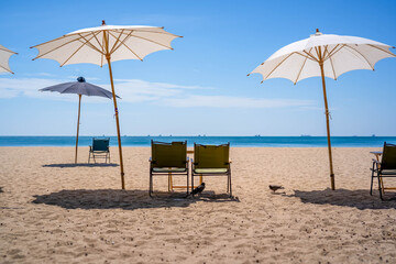 lonely beach chairs on the sunny beach. 