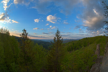 Forest and rocks at sunrise on hill and mountains in low clouds at sunrise in spring in Ukraine. Colorful landscape with forests in fog, sun rays, sky, forest at dawn. HDR style.
