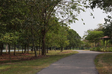 path in the park