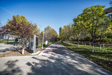 Obraz premium Serene Park Pathway on a Sunny Day