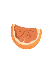Juicy grapefruit slices in vector art style