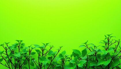 Vibrant Green Foliage Border Against a Lime Green Background