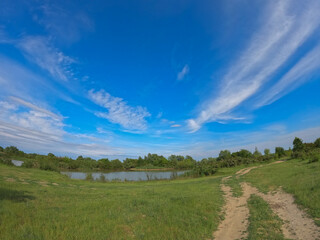 Summer landscape with a delta and a quiet lake reflecting a willow in the water. Natural habitat...