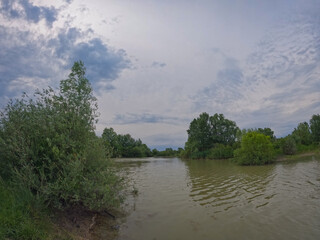 Summer landscape with a delta and a quiet lake reflecting a willow in the water. Natural habitat...