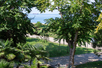 The sea can be seen in the distance through the foliage of tropical trees. A calm summer landscape.