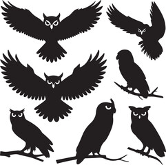 silhouettes of birds