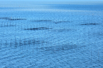 海苔の養殖の有明海