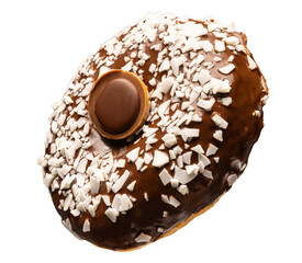 Chocolate donut with coconut flackes