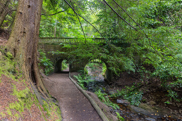 Maspie Den river gorge walk, Falkland, Fife, Scotland