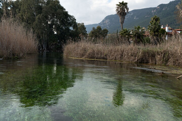 Discover the Magic of Nature - Unique Landscape Photos 