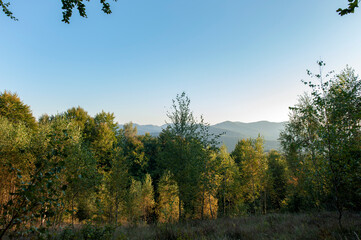 Fototapeta premium Beautiful autumn landscape. Travel, hiking, freedom, active lifestyle. Autumn in the forest.