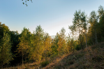 Beautiful autumn landscape. Travel, hiking, freedom, active lifestyle. Autumn in the forest.