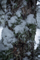 Discover the Magic of Nature - Unique Landscape Photos 