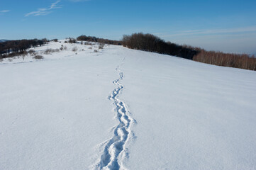 Winter landscape in the mountains, snowy winter landscapes, frosty mornings