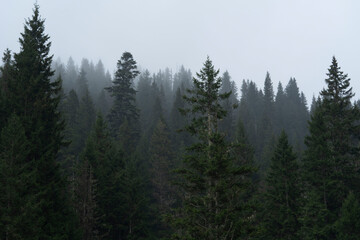 These photos, offering both the serenity and magic of nature