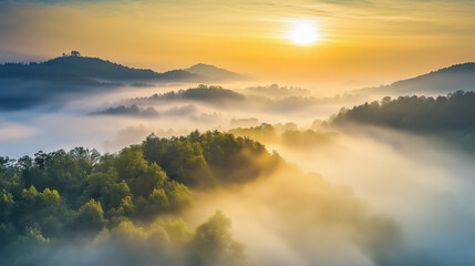 Fototapeta premium Mystic Foggy Forest Landscape