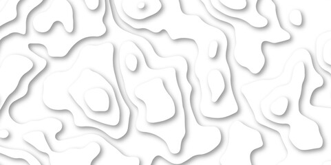 Abstract wavy line paper cut white background. Topographic geometric map relief texture with curved layers and shadow. Abstract soft white background with waves, textured, Papercut, background