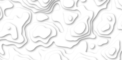 Abstract wavy line paper cut white background. Topographic geometric map relief texture with curved layers and shadow. Abstract soft white background with waves, textured, Papercut, background