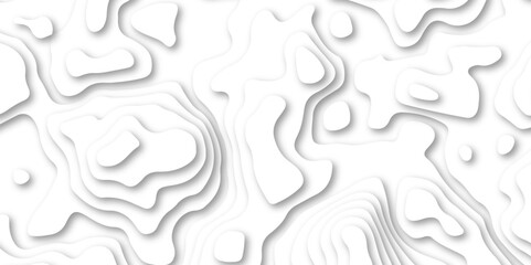 Abstract wavy line paper cut white background. Topographic geometric map relief texture with curved layers and shadow. Abstract soft white background with waves, textured, Papercut, background