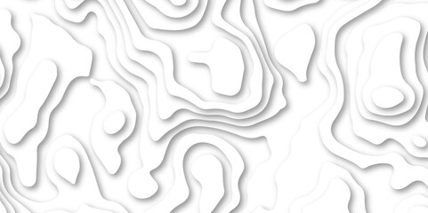 Abstract wavy line paper cut white background. Topographic geometric map relief texture with curved layers and shadow. Abstract soft white background with waves, textured, Papercut, background
