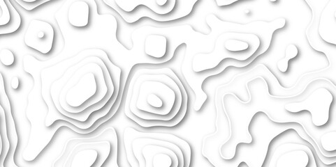 Abstract wavy line paper cut white background. Topographic geometric map relief texture with curved layers and shadow. Abstract soft white background with waves, textured, Papercut, background