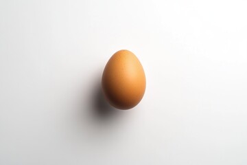 egg on a white background