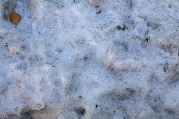 Close-Up of Dirty Melting Snow Texture. Detailed macro shot of snow with specks of dirt and debris, capturing the texture of melting snow and environmental impact during winter transitions.