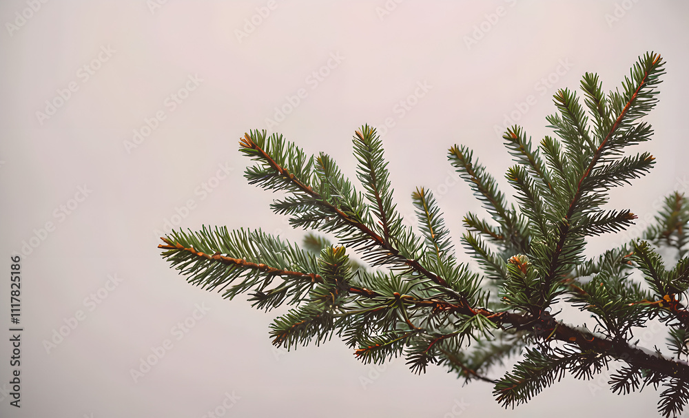 Poster a tree branch with green leaves and a few brown tips. the branch is leaning to the right