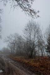 Fog in the mountains in autumn, stretches through the valley between the peaks and the forest.