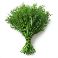 A bunch of fresh dill, commonly used as a culinary herb for flavoring dishes.