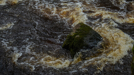 Old mossy rock in the fast river