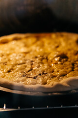 baking making pizza with cheese in an electric oven