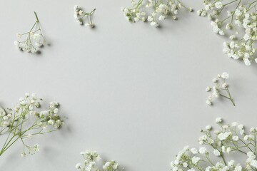 Top view photo with gypsophila flowers on gray background 