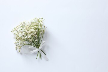 Top view photo with gypsophila flowers on white background 