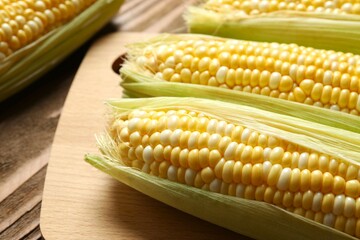 Fresh corn on cobs on wooden background, top view