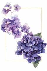A purple hydrangea flower with a gold frame, in the style of a watercolor painting, on a white background.