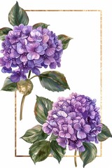 Purple hydrangeas with a gold frame, in the style of a clipart illustration, watercolor on a white background