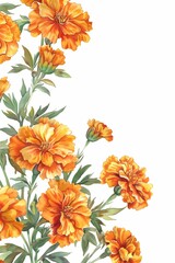 Watercolor orange marigold flowers on a white background, with a floral pattern