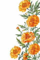 Watercolor marigold flowers, in an orange color, with green leaves, form a long vertical floral border