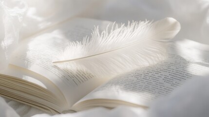 A serene scene with a book and a delicate feather 